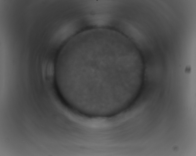 X0000094960024200712131655