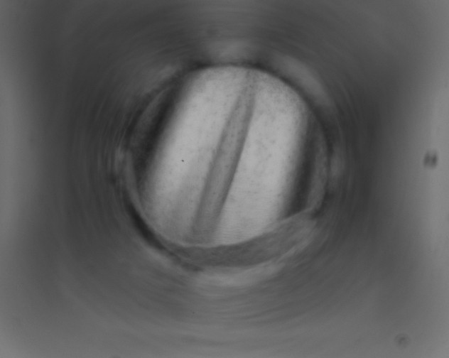 X0000094960025200712131655