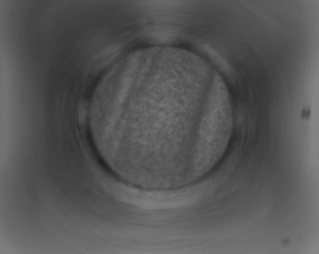 X0000094960026200712131655