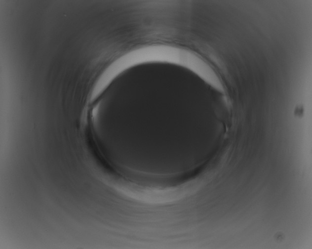 X0000094960027200712131655