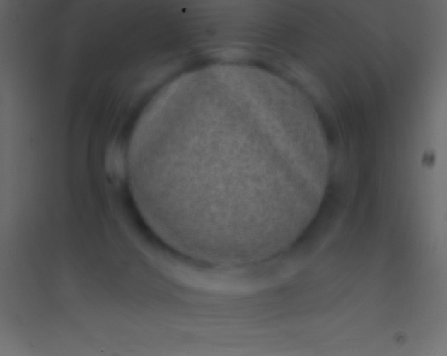 X0000094960028200712131655