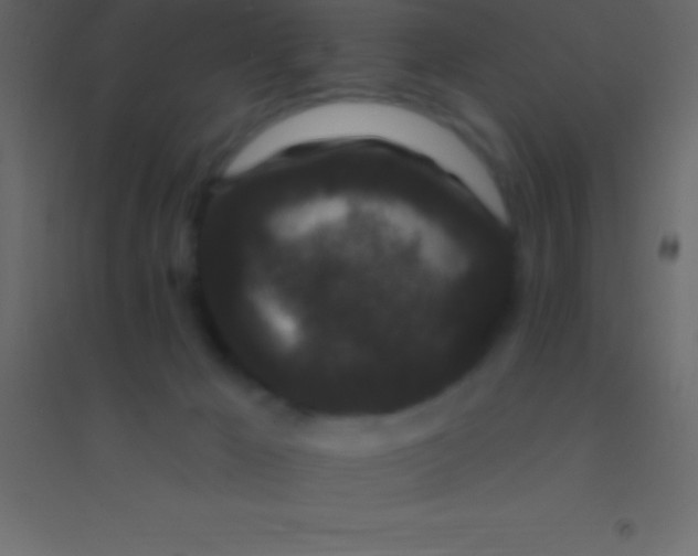 X0000094960029200712131655