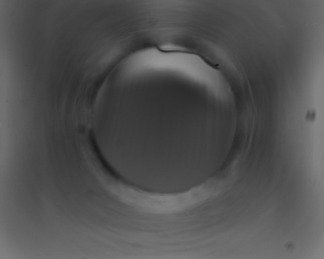 X0000094960031200712131655