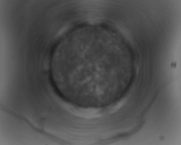 X0000094960032200712131655