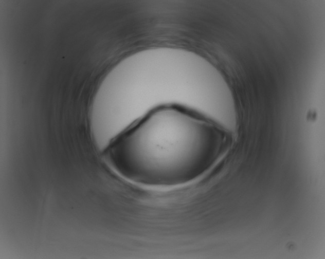 X0000094960033200712131655