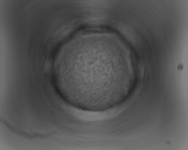 X0000094960034200712131655