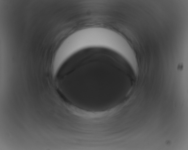 X0000094960035200712131655