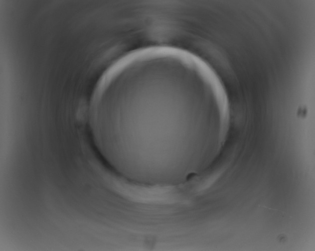 X0000094960036200712131655