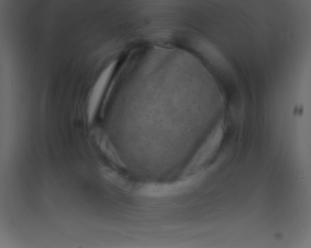 X0000094960037200712131655