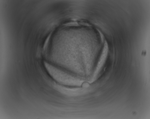 X0000094960038200712131655