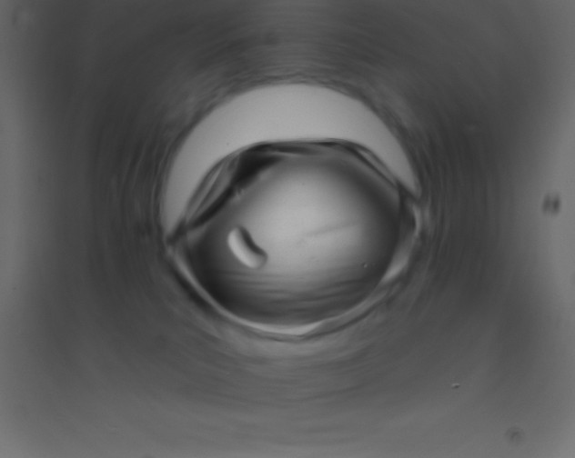 X0000094960039200712131655