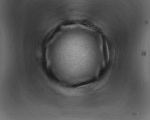 X0000094960040200712131655