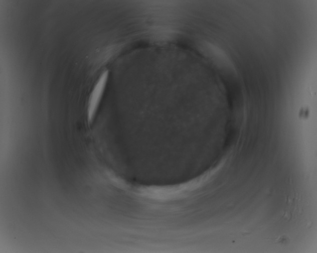 X0000094960041200712131655