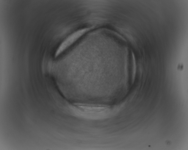 X0000094960042200712131655