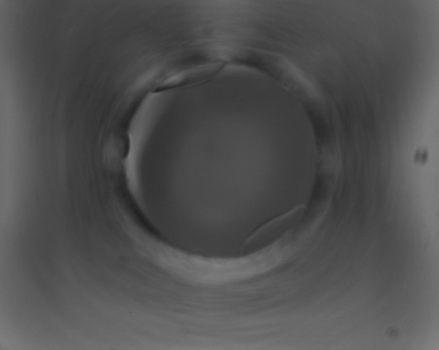 X0000094960043200712131655