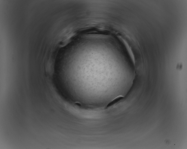 X0000094960044200712131655