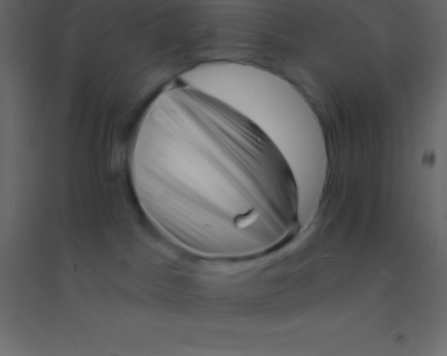 X0000094960045200712131655