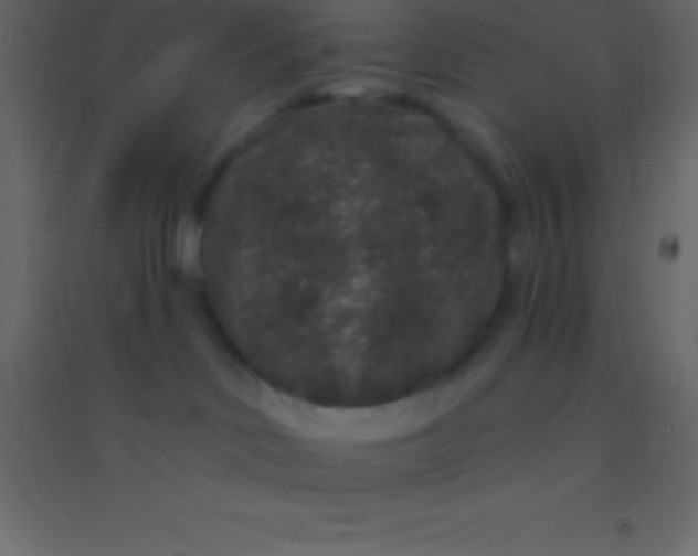 X0000094960046200712131655