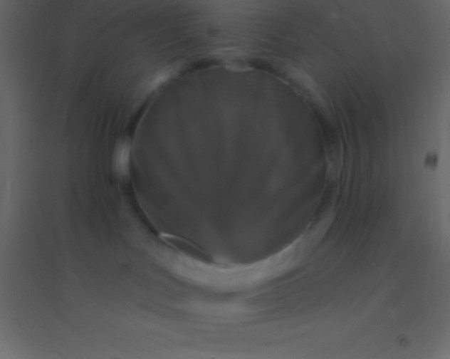 X0000094960047200712131655