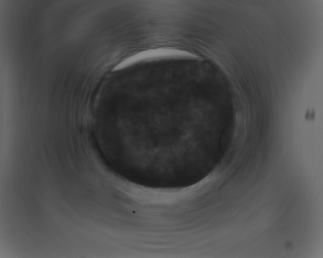 X0000094960048200712131655