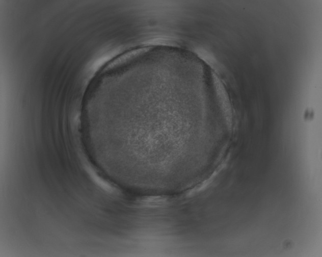 X0000094960050200712131654