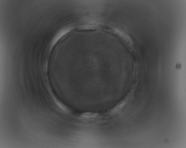 X0000094960051200712131654