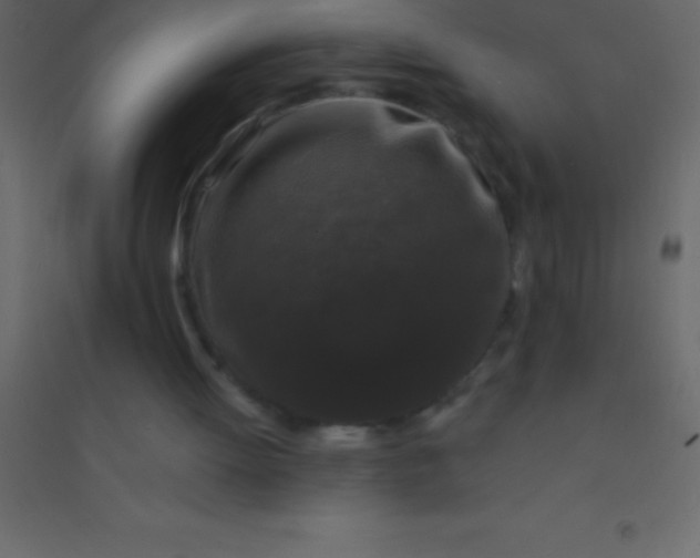 X0000094960052200712131654