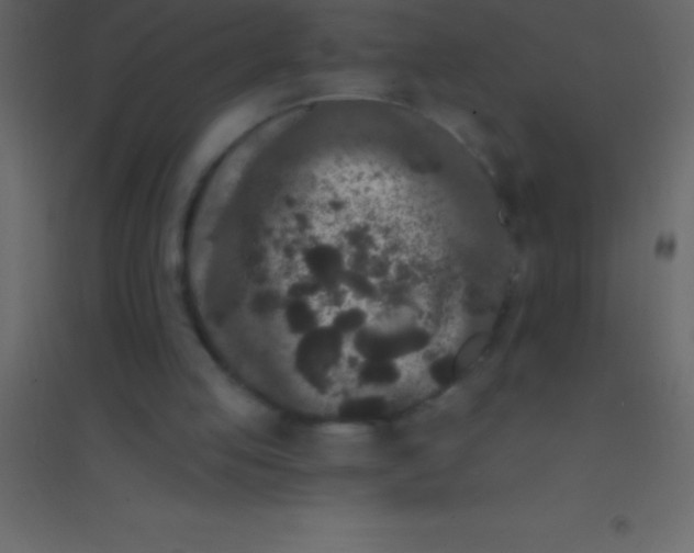 X0000094960053200712131654