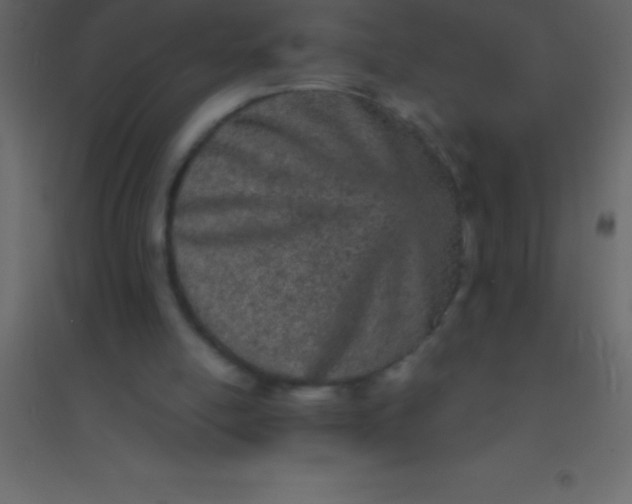 X0000094960054200712131654