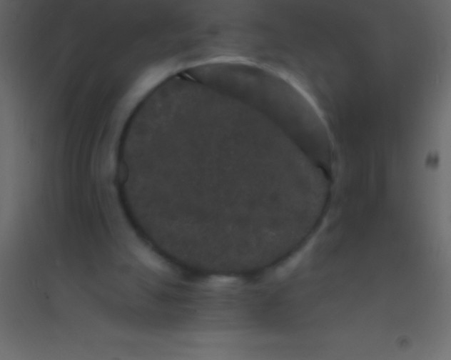 X0000094960055200712131654