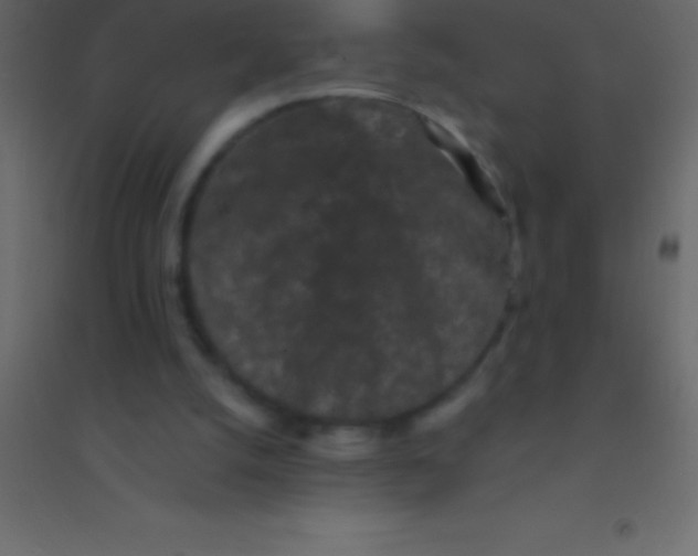 X0000094960056200712131654