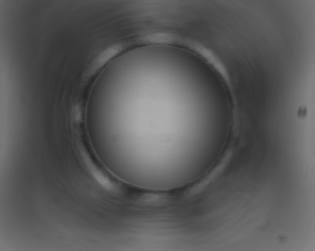 X0000094960057200712131654