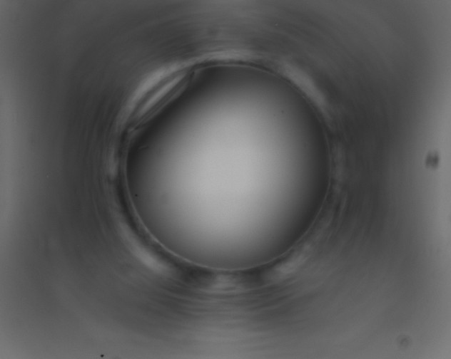 X0000094960060200712131654