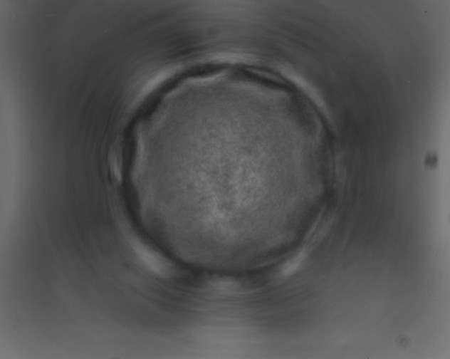 X0000094960062200712131654