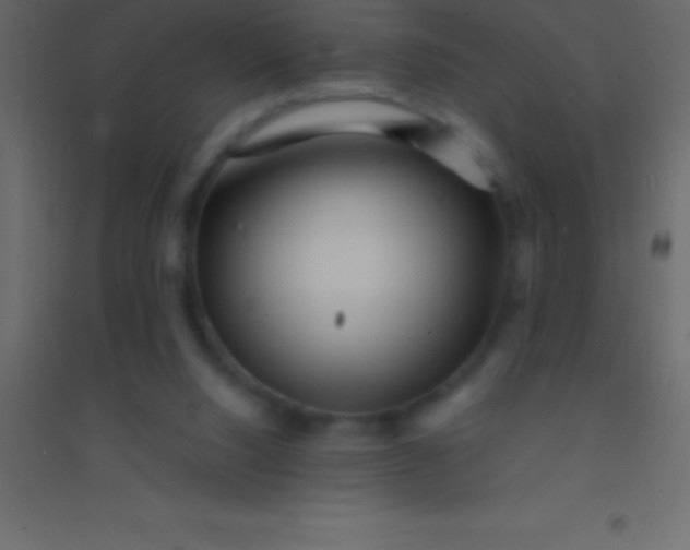 X0000094960064200712131654