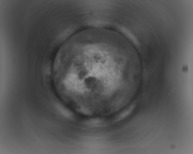 X0000094960065200712131654