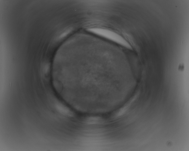 X0000094960066200712131654