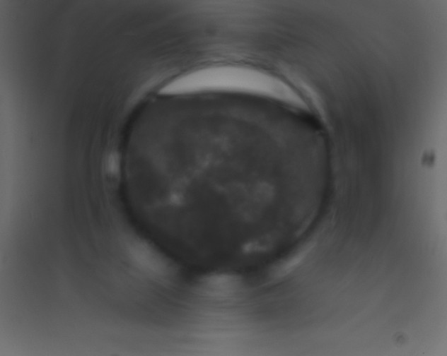 X0000094960067200712131654