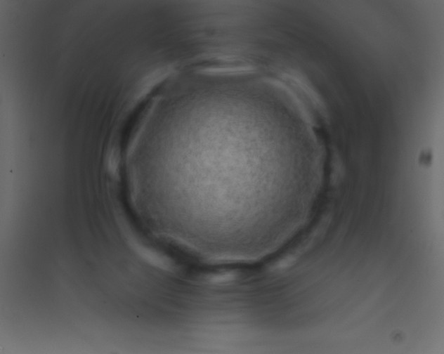 X0000094960068200712131654