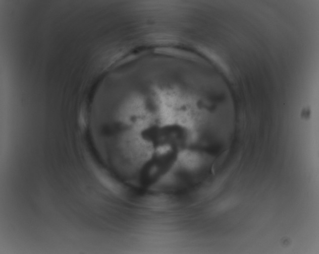 X0000094960069200712131654