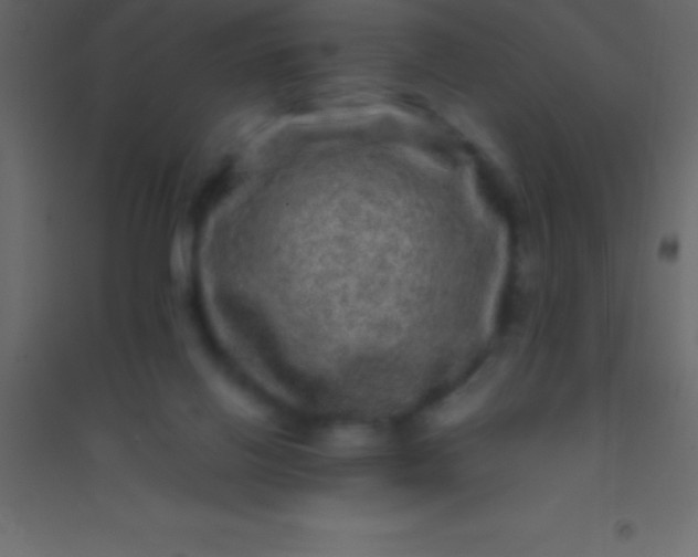 X0000094960070200712131654