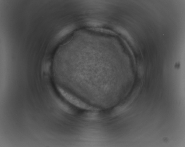 X0000094960071200712131654