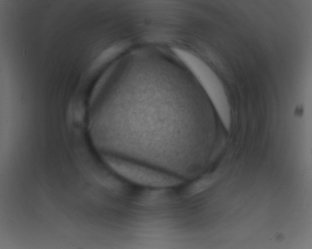 X0000094960072200712131654