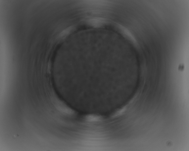 X0000094960073200712131654