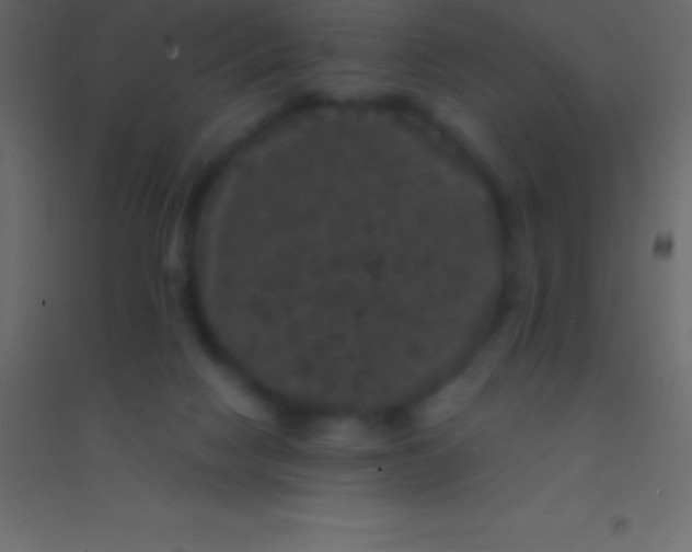 X0000094960074200712131654