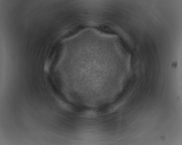 X0000094960075200712131654