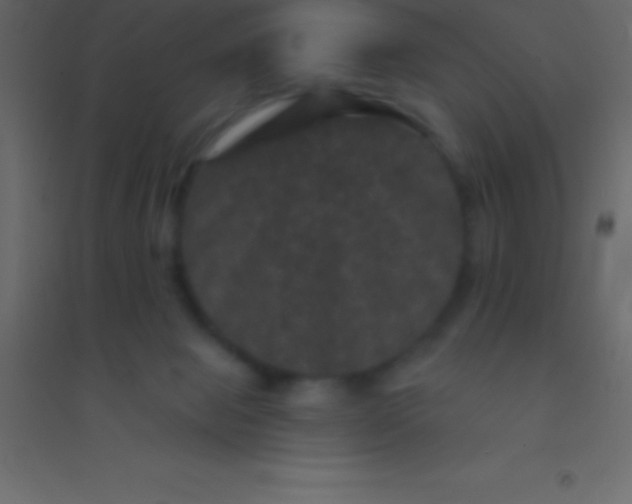 X0000094960077200712131654