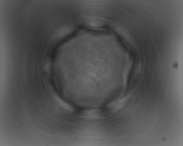 X0000094960078200712131654