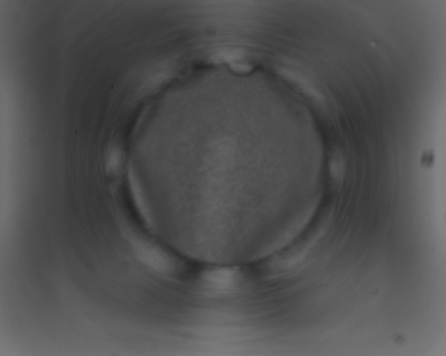 X0000094960079200712131654