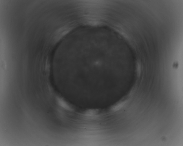 X0000094960080200712131654